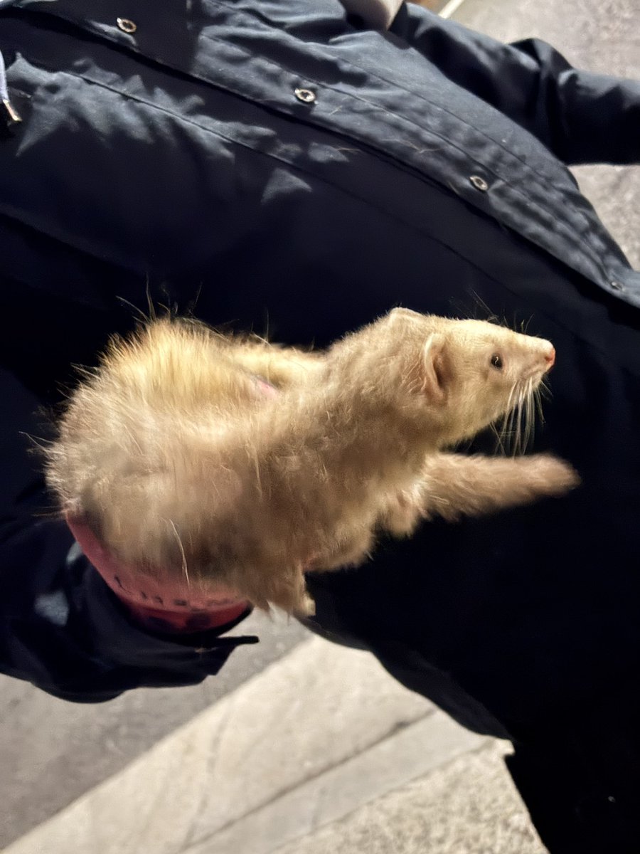 F.j Watson tweet media