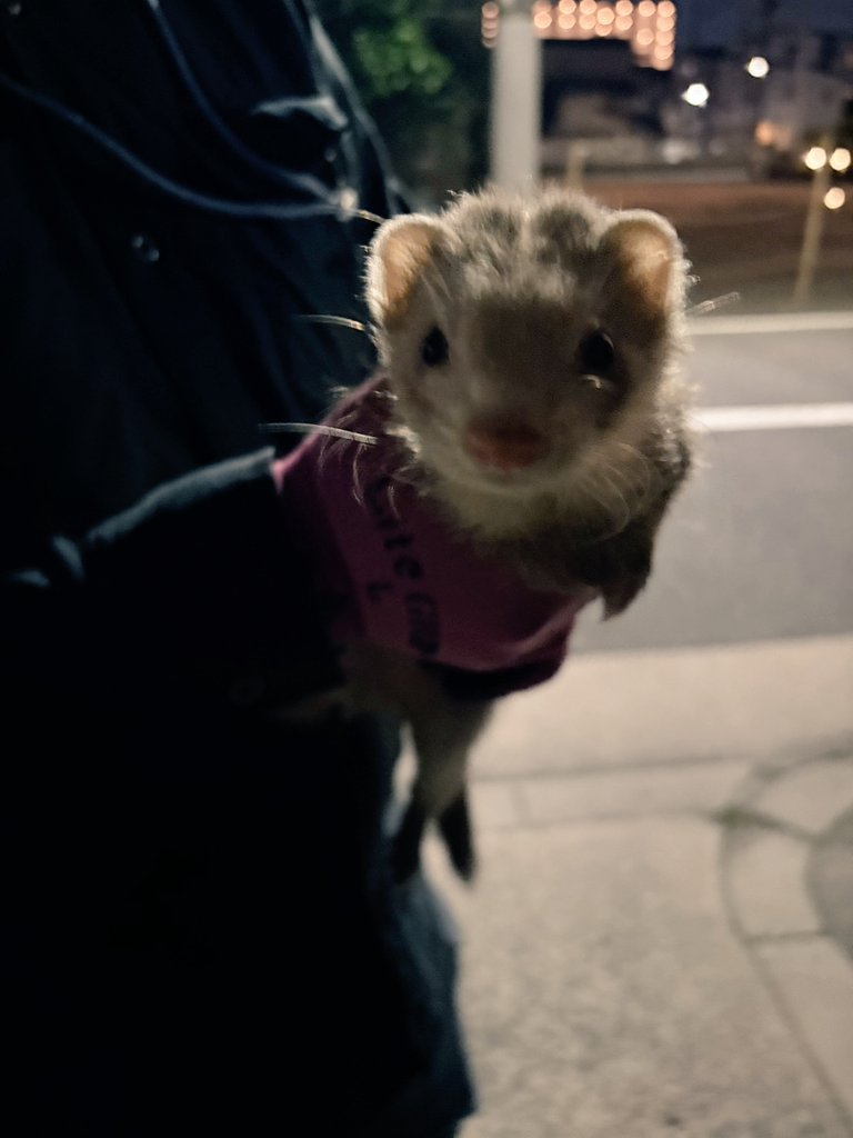 F.j Watson tweet media