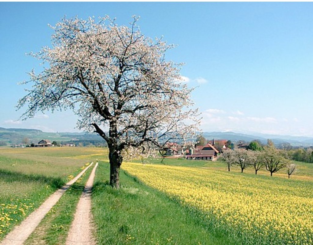 Good morning. Start your Tuesday with positive thoughts to make your day go well.
#goodmorning #start #Tuesday #positive #thoughts #day #gowell