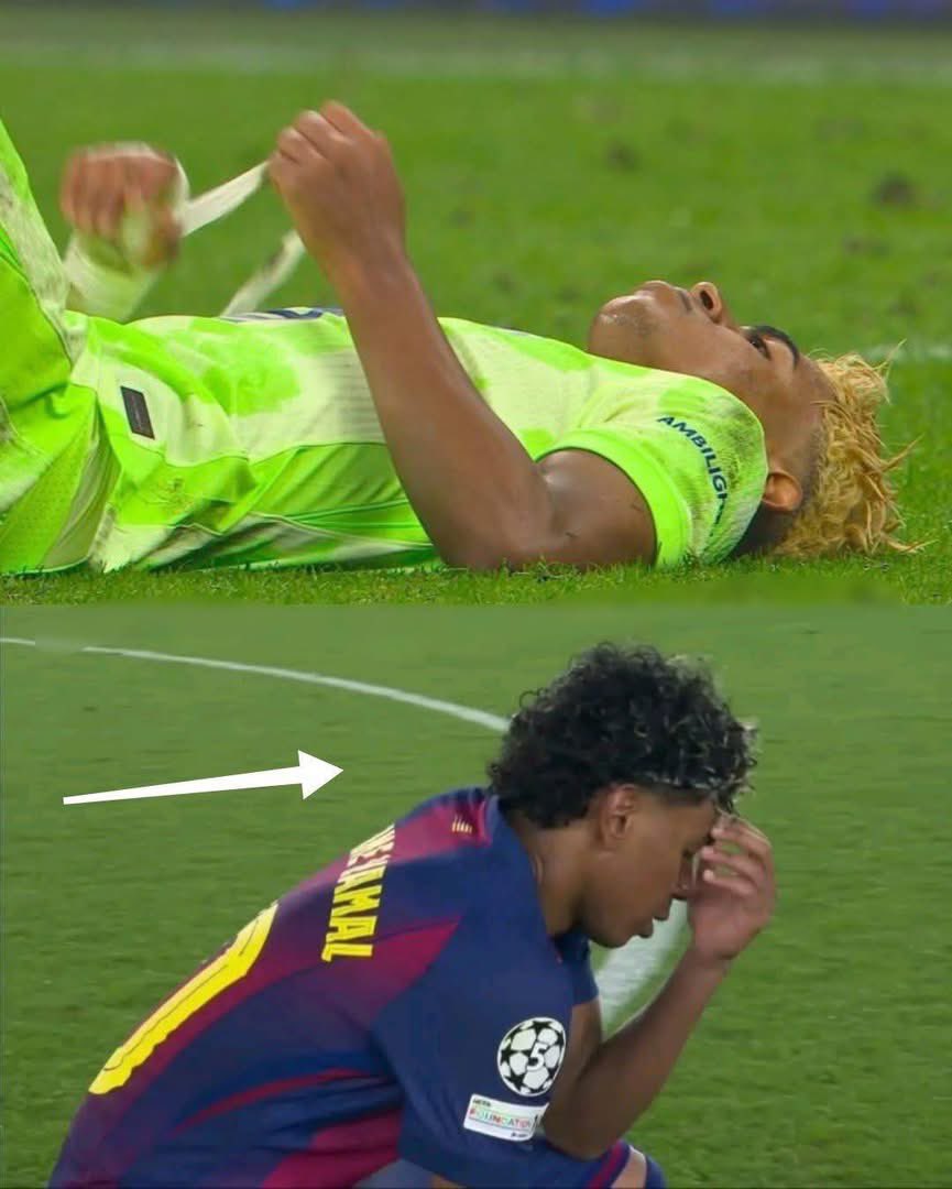 Mr Wills tweet media