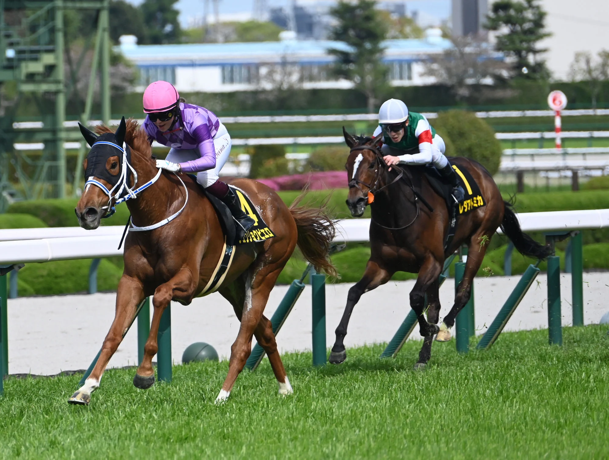 ☆オークス今村聖奈ジュウリョクピエロ☆2026年　G1 優勝クリアファイルのみ ジュウリョクピエロが忘れな草賞制覇、オークス直行で今村聖奈の
