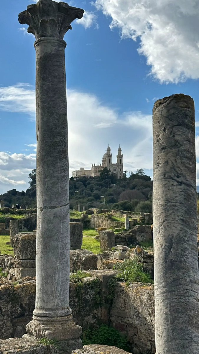 StanSmiR 🇩🇿🆓🇵🇸 tweet media