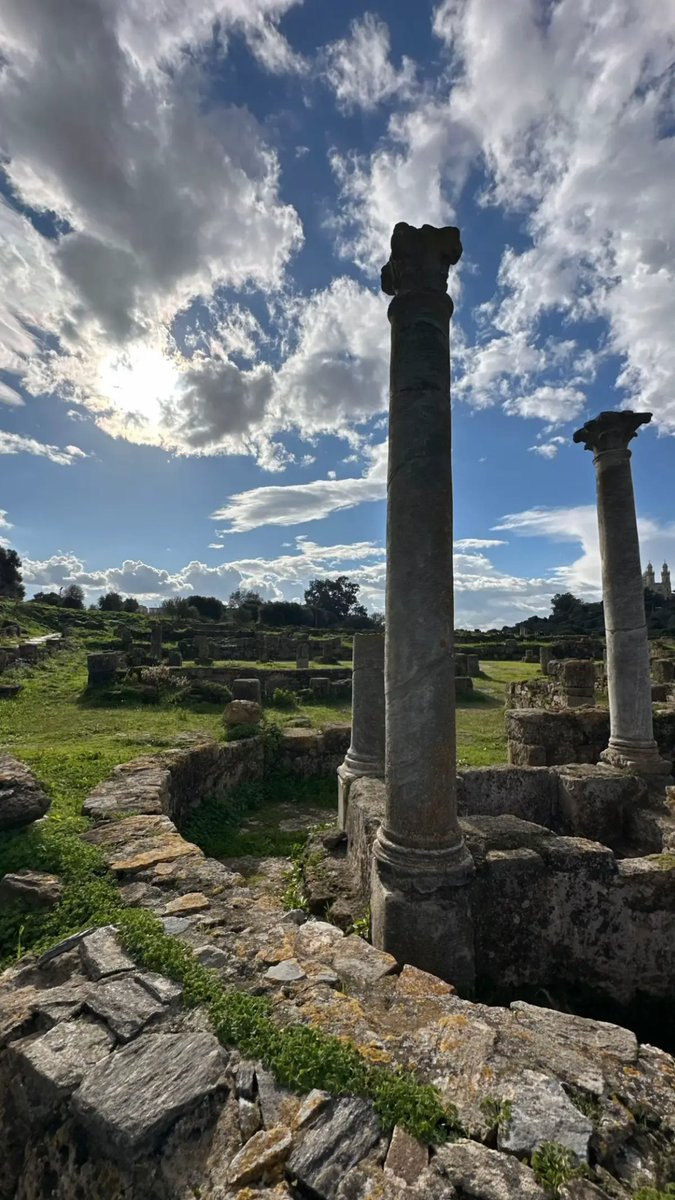 StanSmiR 🇩🇿🆓🇵🇸 tweet media