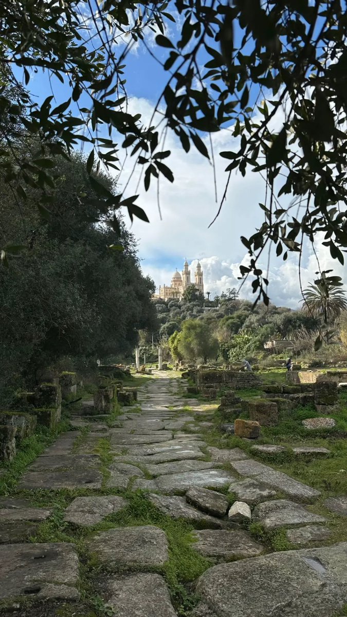 StanSmiR 🇩🇿🆓🇵🇸 tweet media