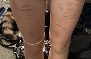 xan GYM ERA tweet media