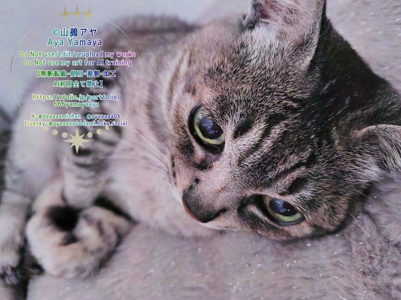 山鵺アヤ🐱4/3新連載 tweet media