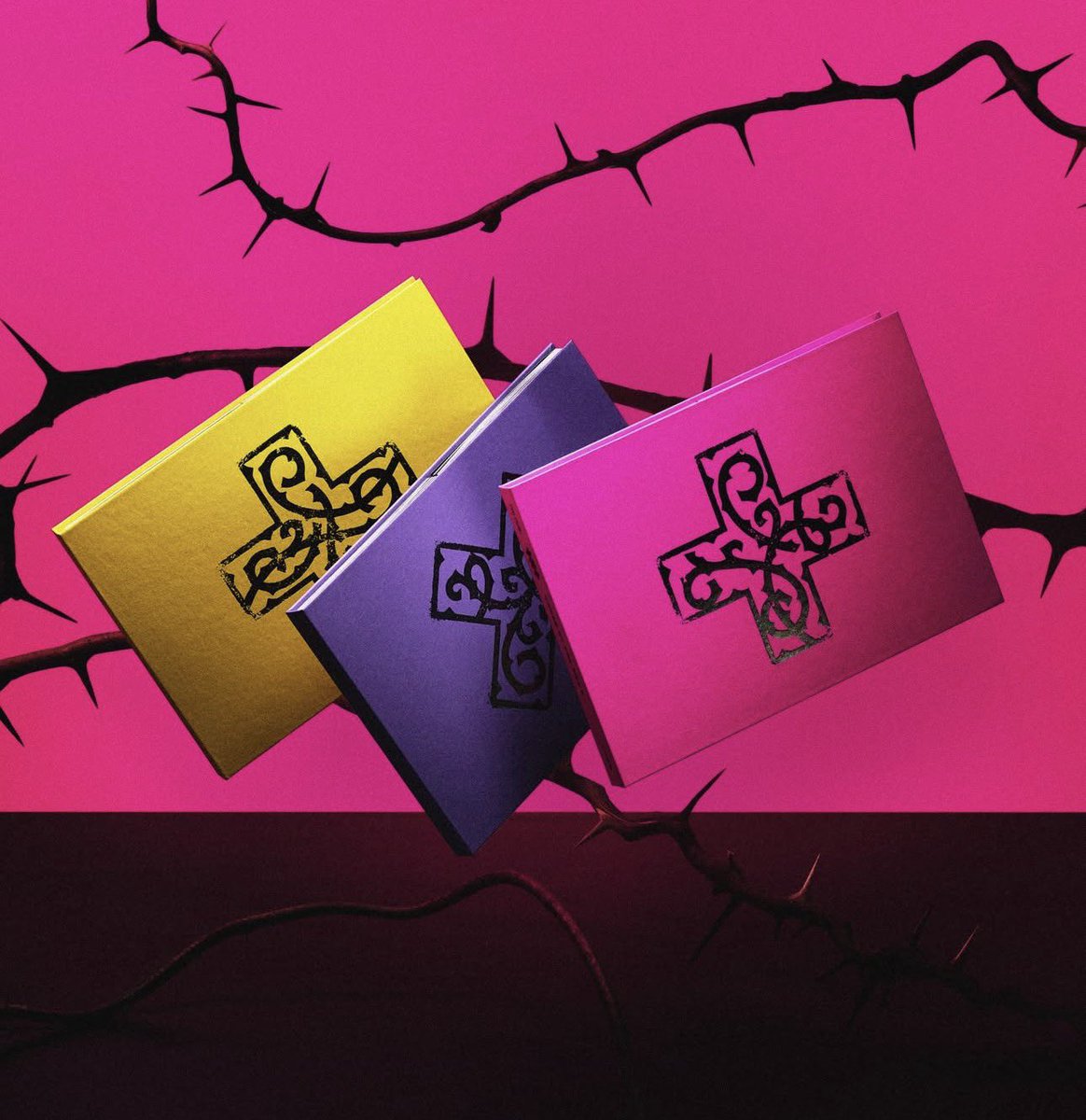 cee ˖ ✺ ִֶָ ݁ (review szn) tweet media