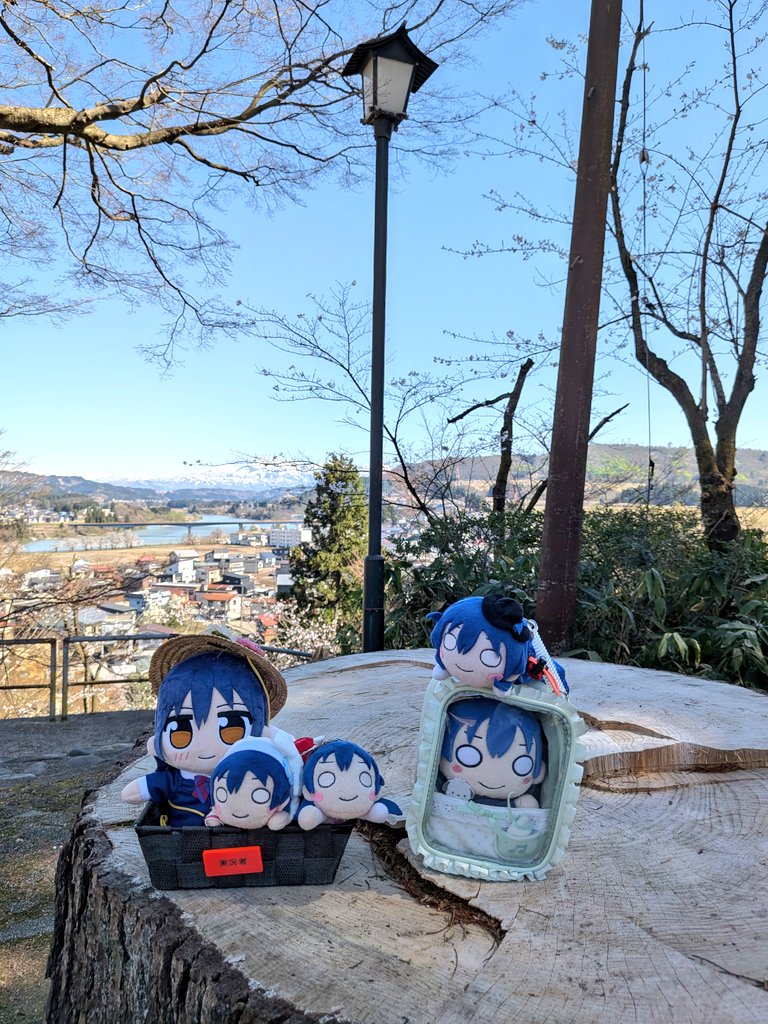 ねぎみそ＠山頂アタック部 tweet media