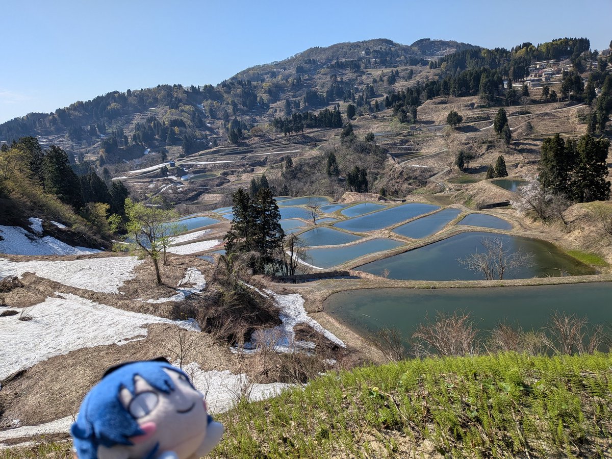 ねぎみそ＠山頂アタック部 tweet media