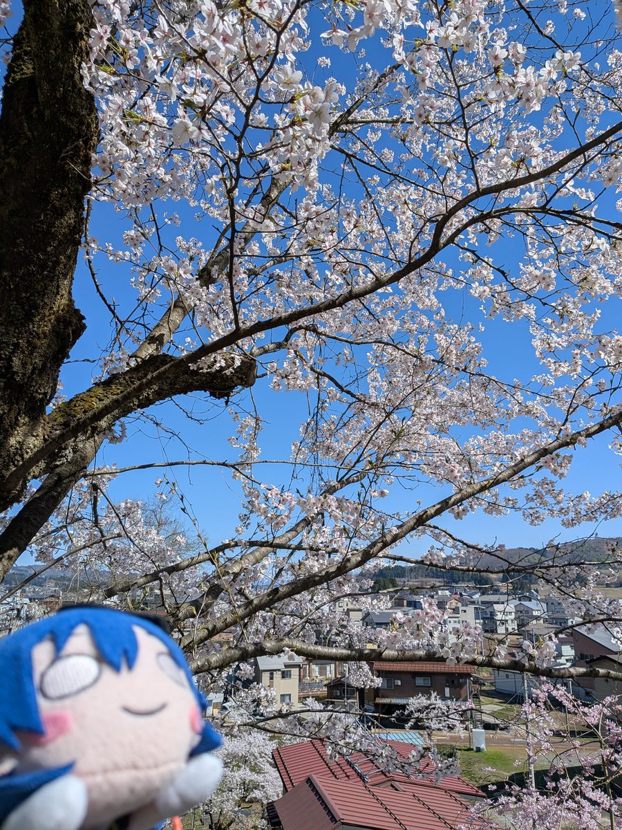 ねぎみそ＠山頂アタック部 tweet media