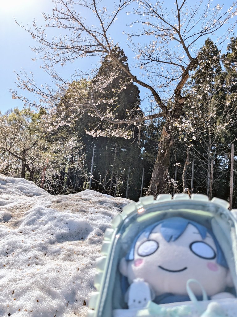 ねぎみそ＠山頂アタック部 tweet media