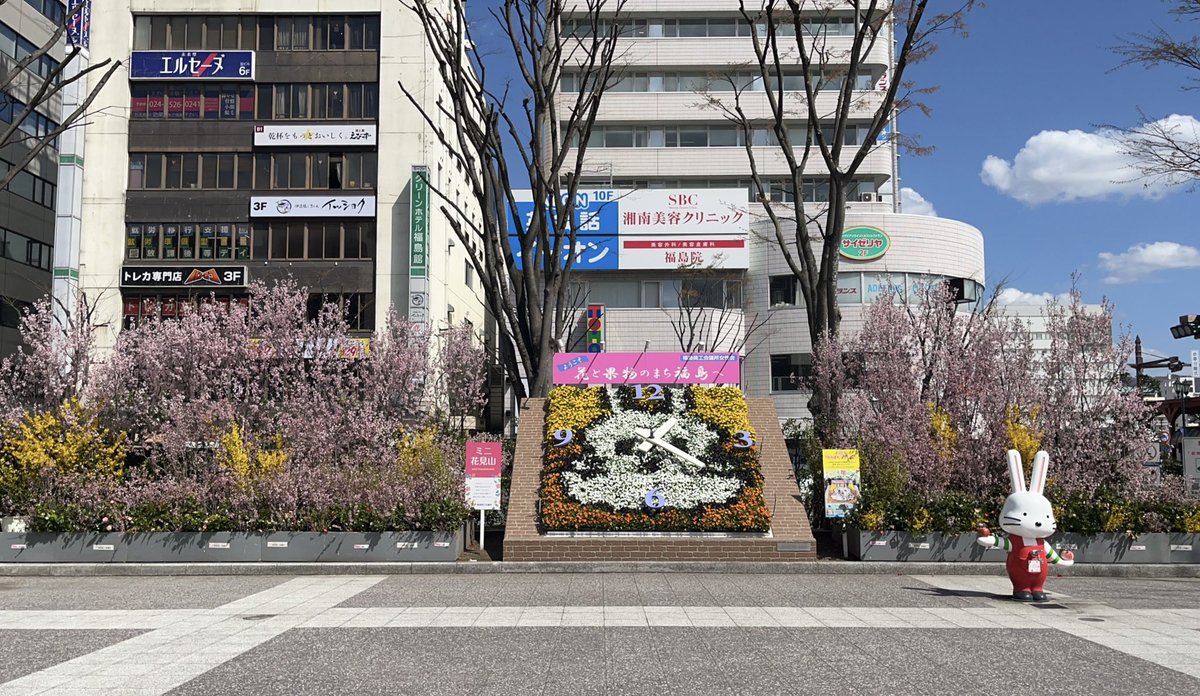 あきぴ tweet media