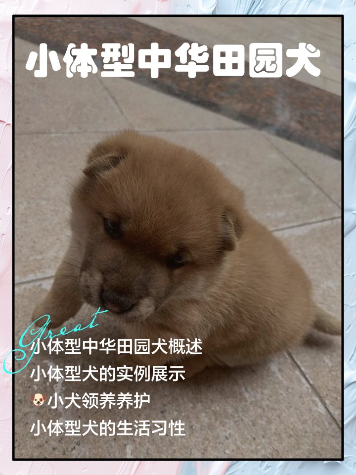 Гафур Салимов tweet media