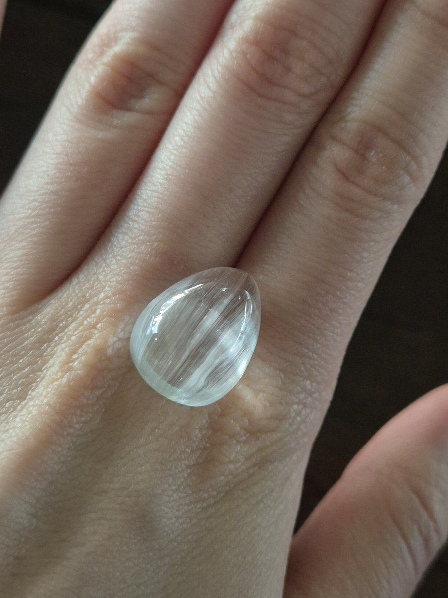 파블로프 tweet media