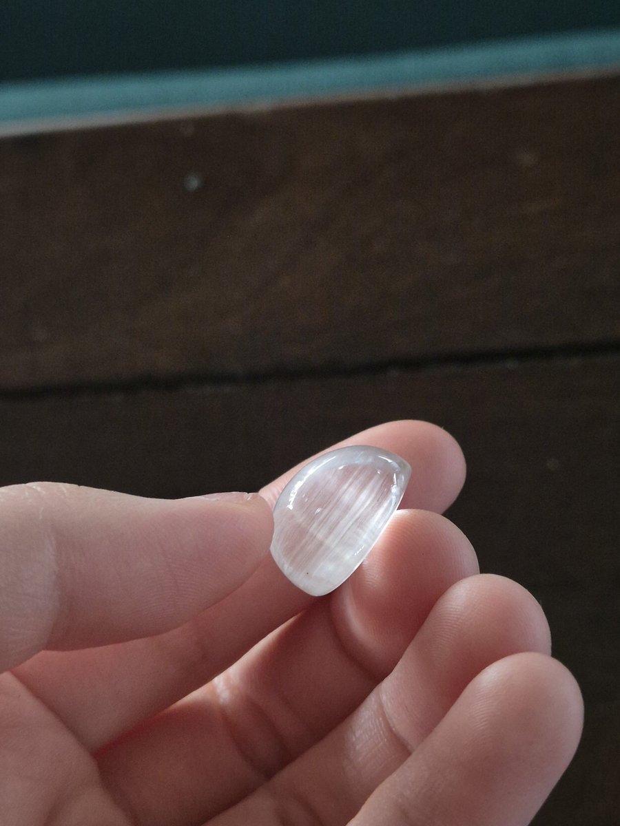 파블로프 tweet media