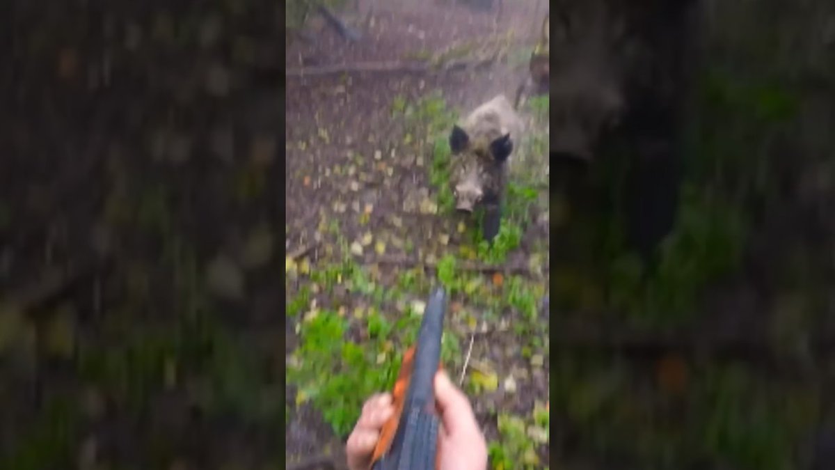 CattleProd tweet media