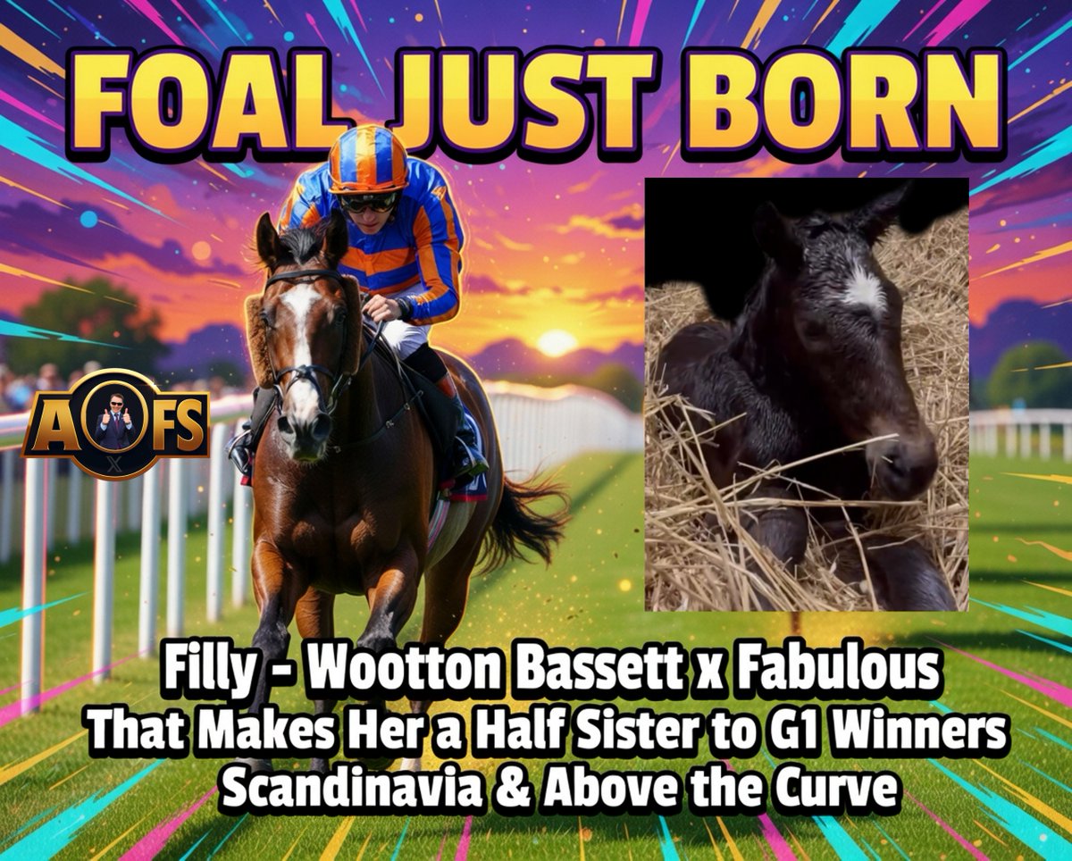 AIDANOBRIENFANSITE tweet media