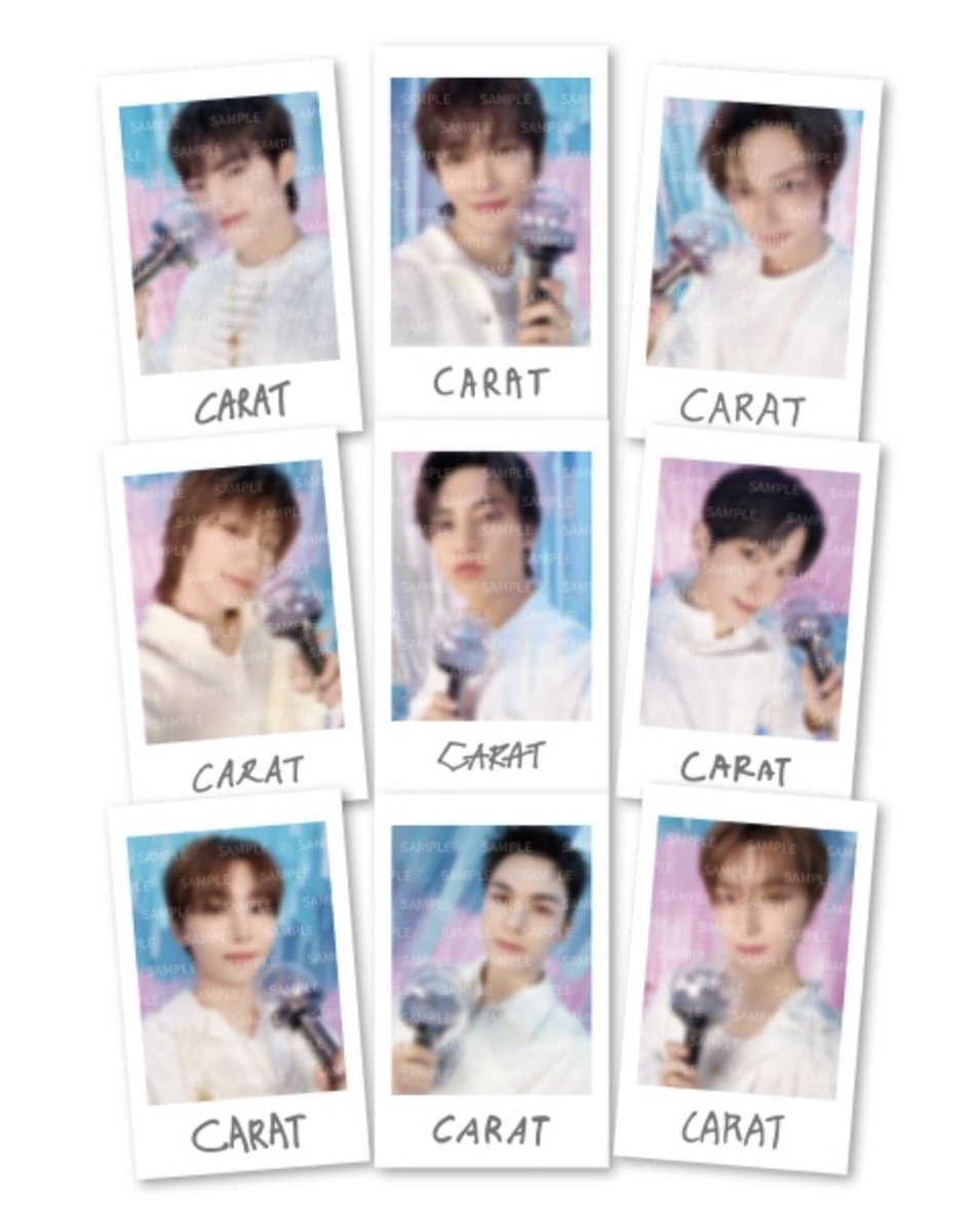 시셸 SEASHELL tweet media