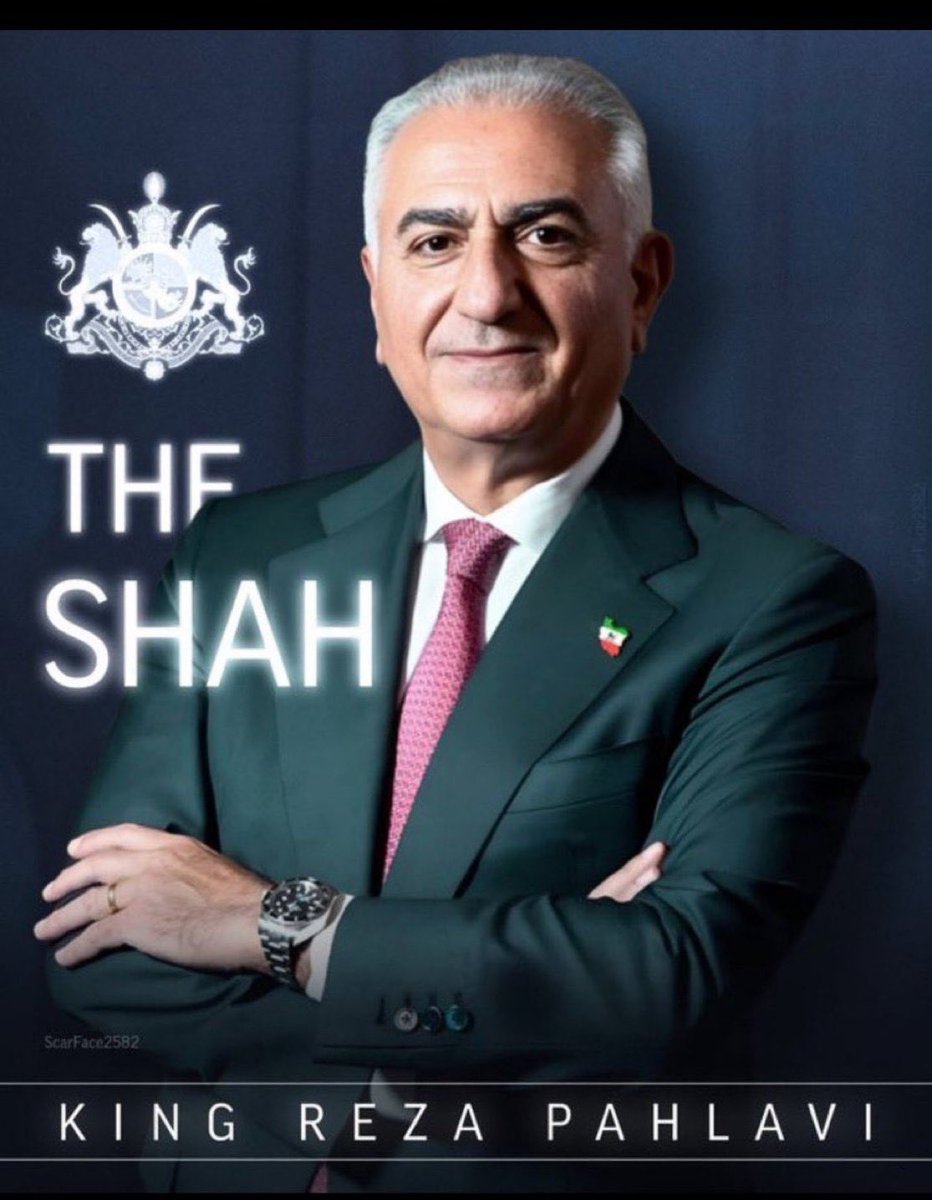 Meerkat Takapuna 🤟 tweet media