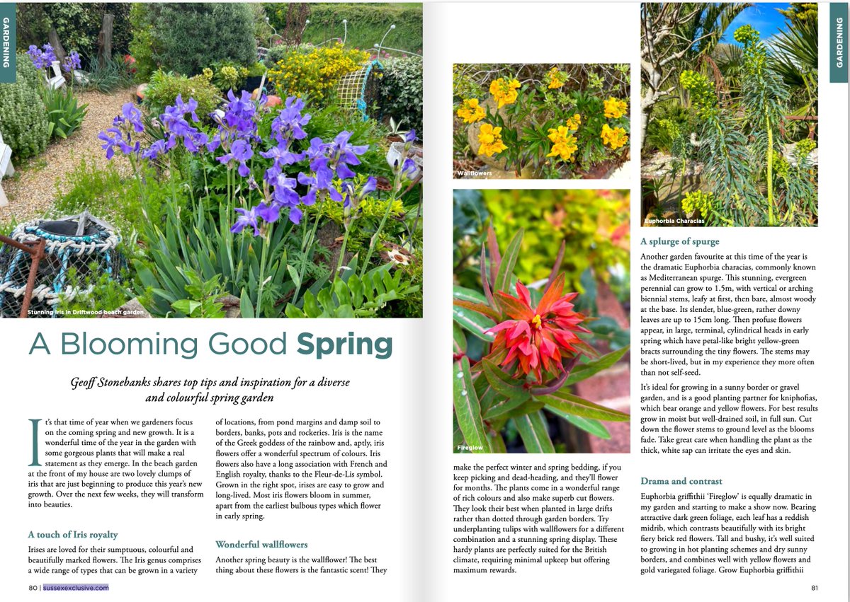 driftwoodbysea's tweet image. We're well and truly into Spring but there's still a nip in the air. This was my spring feature for @SussexExclusive  magazine recently. geoffstonebanks.co.uk/exclusive/feb2… #sussex #gardening