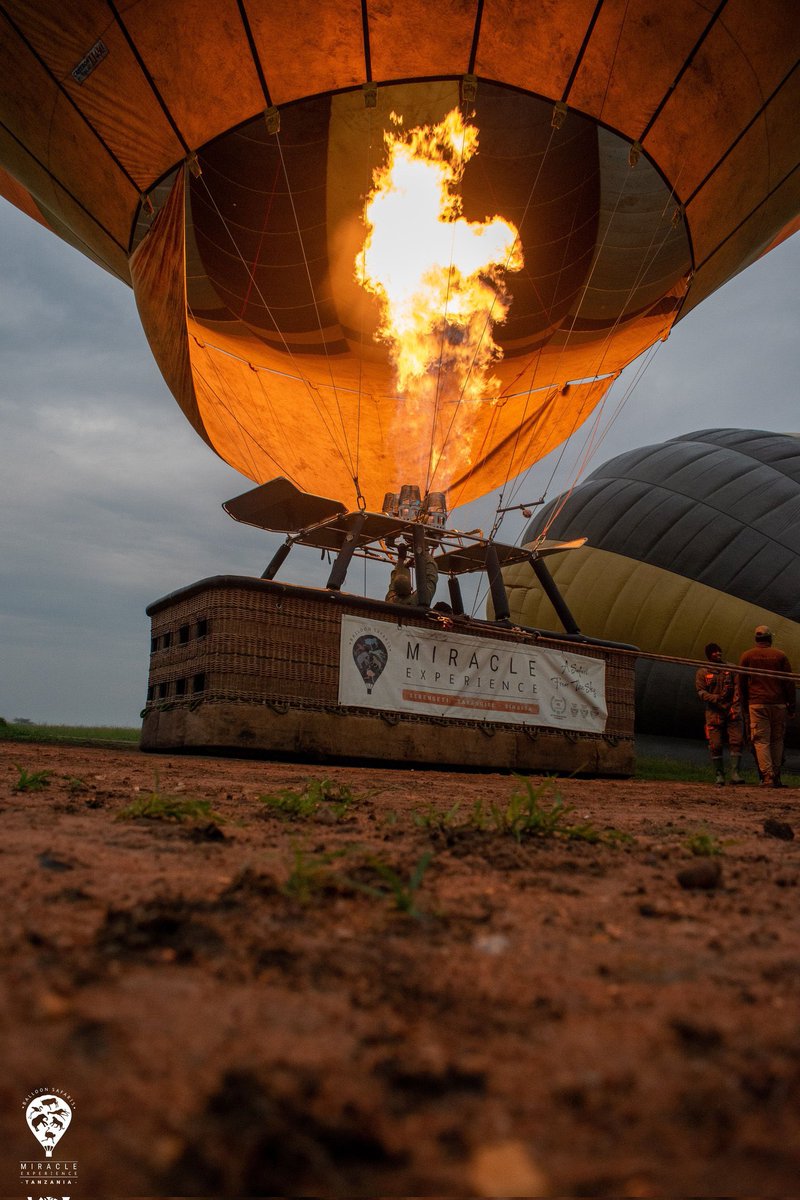 Stejos_Tours's tweet image. Breakfast goals? The Serengeti just raised the bar. 

A sunrise flight over the plains followed by a luxury breakfast in the heart of the wild, Pure magic.

Ready to book your 2026 balloon safari? 

DM us to secure your spot. 

#Serengeti #BalloonSafari #TravelWithUs #StejosTours