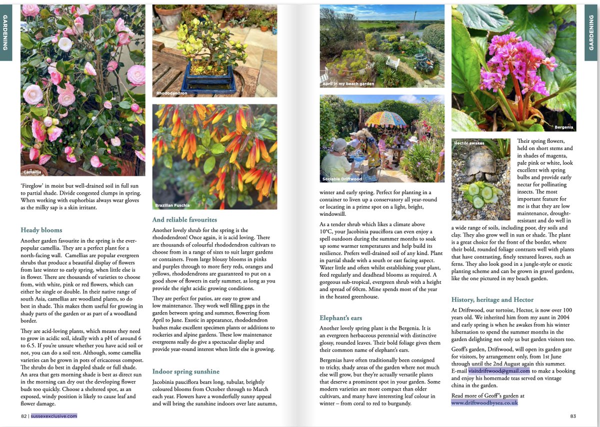 driftwoodbysea's tweet image. We're well and truly into Spring but there's still a nip in the air. This was my spring feature for @SussexExclusive  magazine recently. geoffstonebanks.co.uk/exclusive/feb2… #sussex #gardening