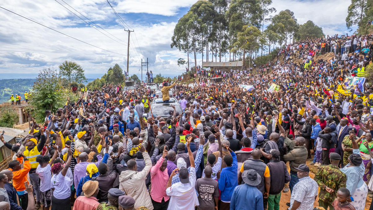 Zippy☆ tweet media