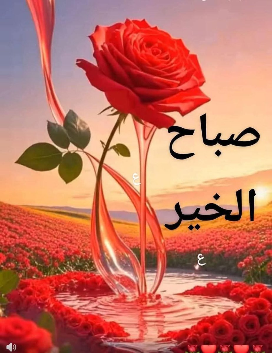 ahmadokmak tweet media