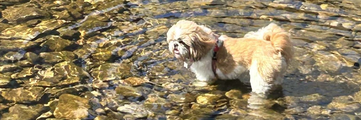 Bella🇬🇧 tweet media