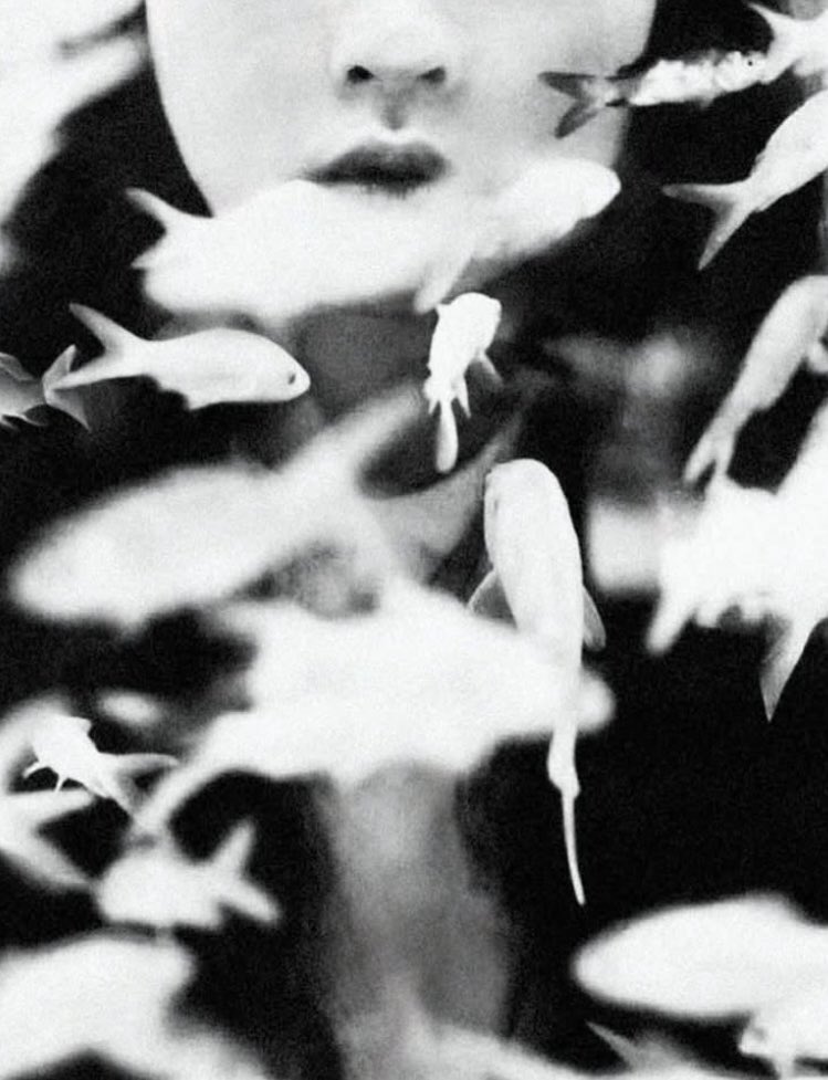 marysocontrary tweet media