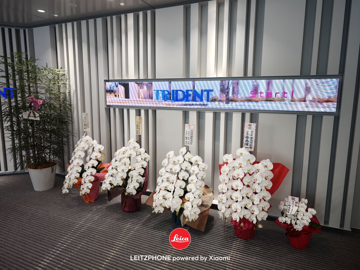 tomotomospot@右投げ左打ち社 tweet media