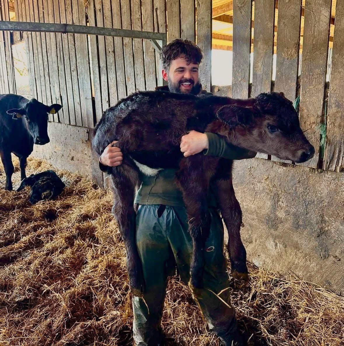 FarmingUK's tweet image. Monster heifer calf born in the Scottish Borders! 😮 👏 

📸 Jack Waite