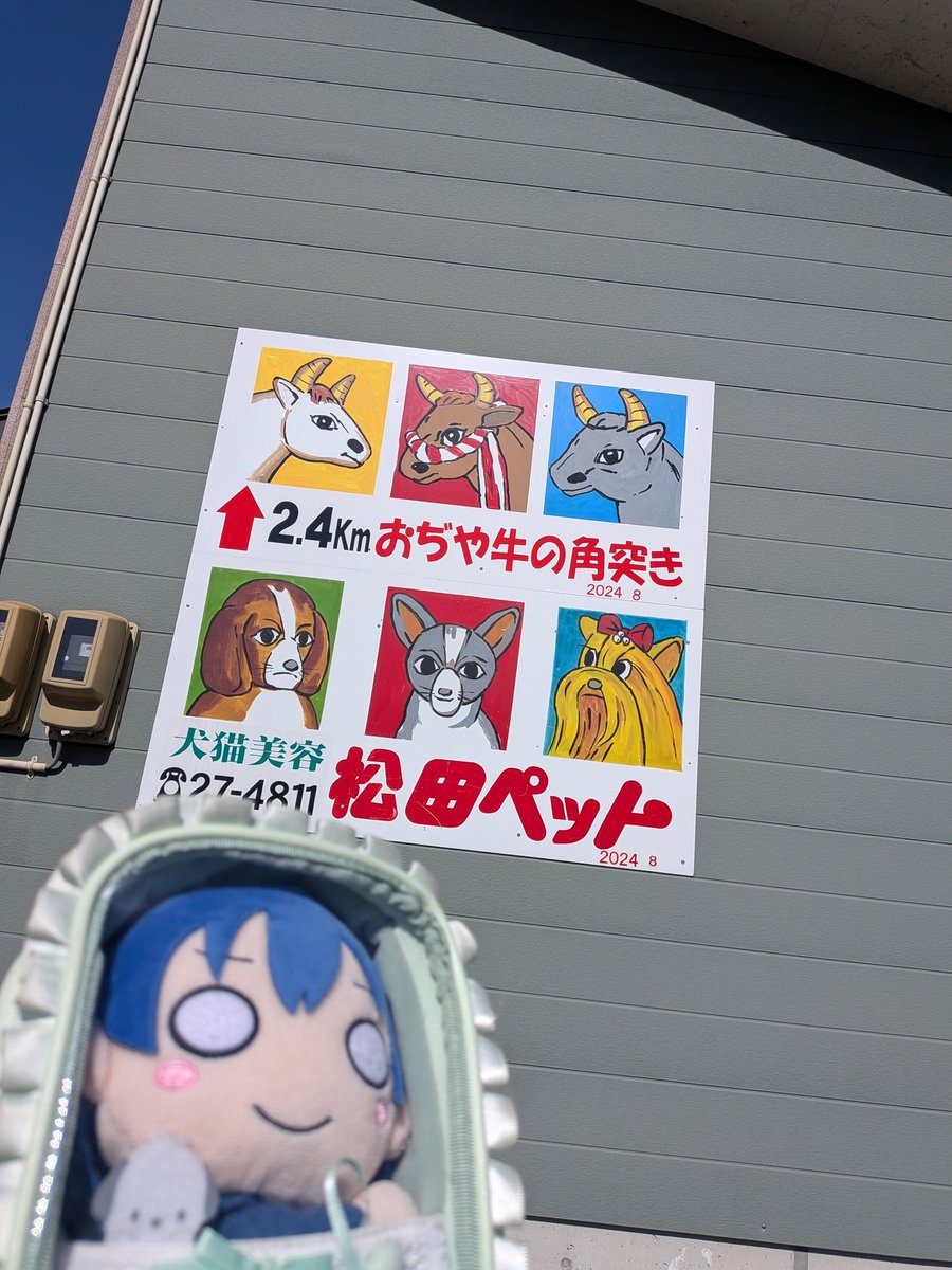 ねぎみそ＠山頂アタック部 tweet media