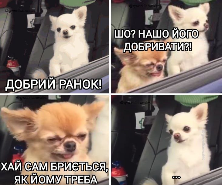 ДОБРОГО РАНКУ