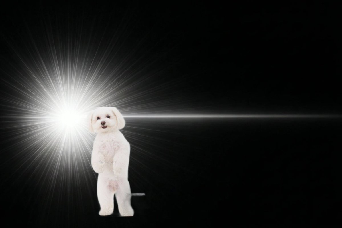 良薬口に苦すぎて吐瀉 tweet media