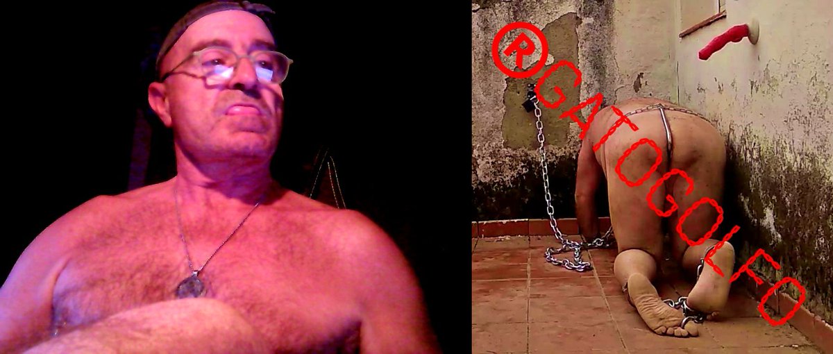 VIOLO A MI ESCLAVO HIJOPUTA <a href="/20881735902_GG/">20881735902_GG</a>  A DIARIO, CREO QUE LO DISFRUTA,POR COMO LE GOTEA LA JAULA DE POLLA