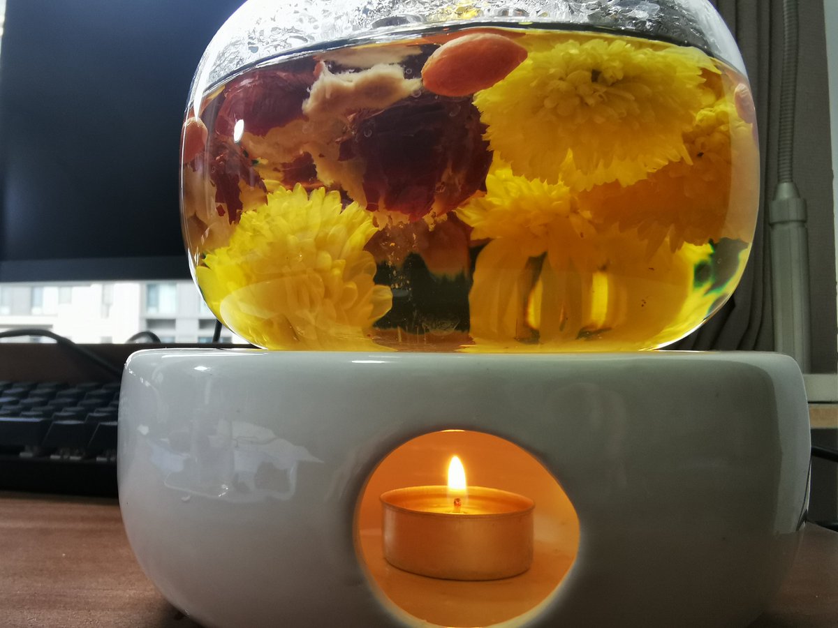 nouiammardjia tweet media