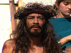 captaindarkwolf tweet media