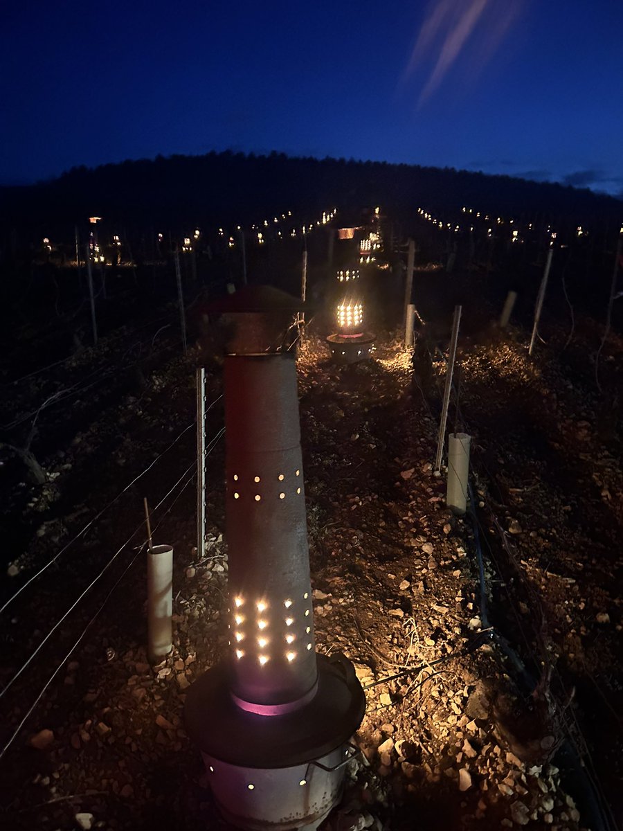 meteo_89's tweet image. 🥶 Retour des gelées tardives ce mardi matin dans le Chablisien avec -1 °C sous abri. Quelques bougies ont été allumées dans les vignes. Photo @BONNIN1402. #gel #Yonne #Chablis