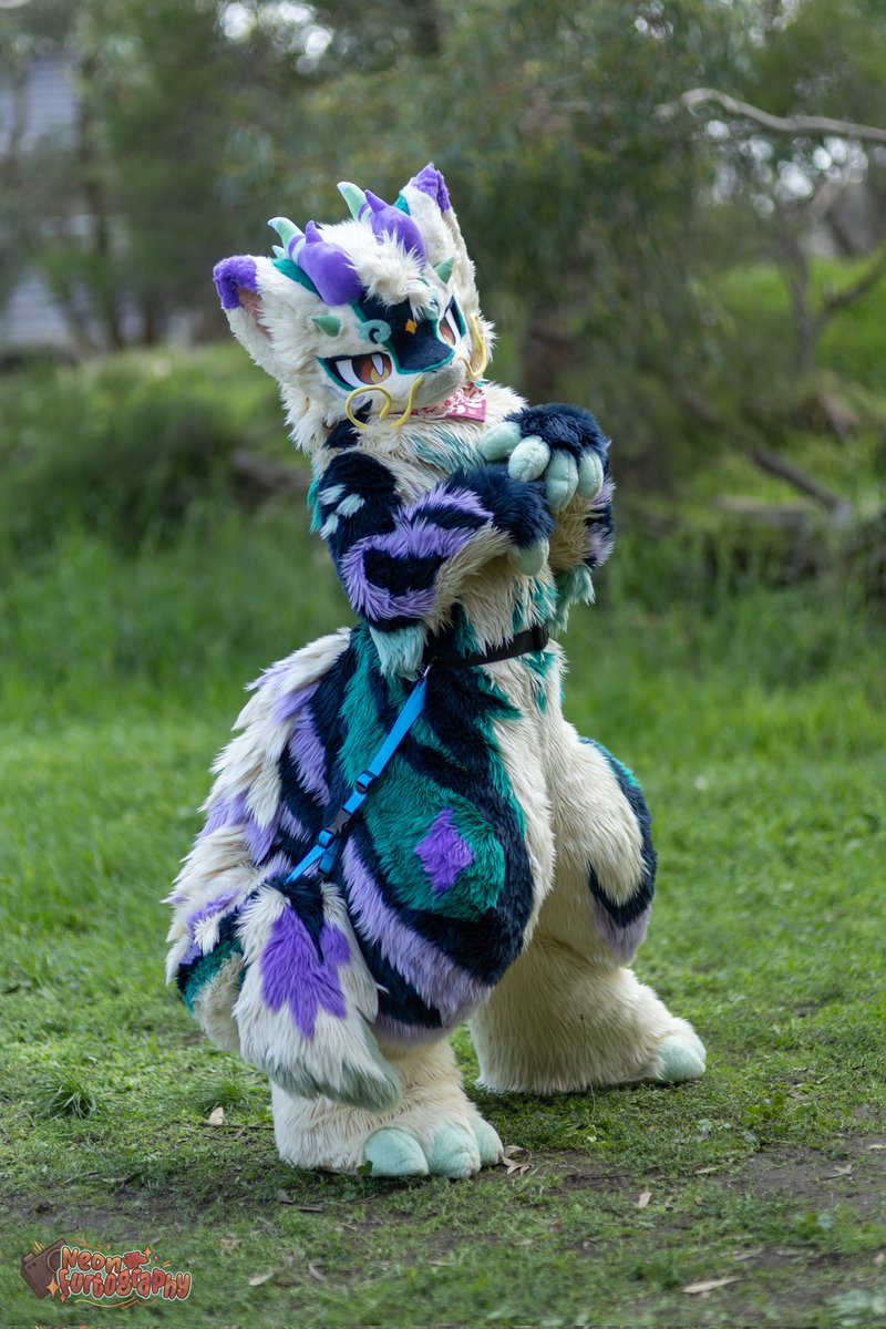 Zaylio/Ryko 🔜 FurDU tweet media