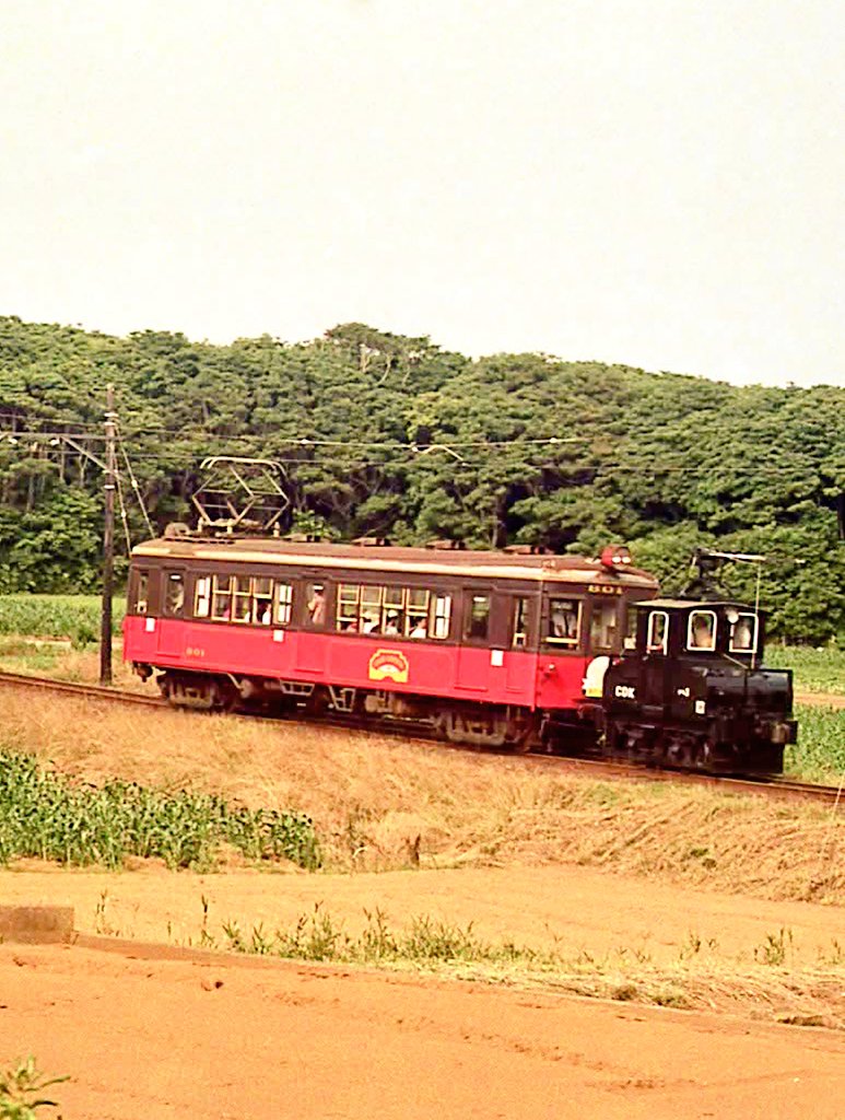 ノンビンアンチュウ tweet media