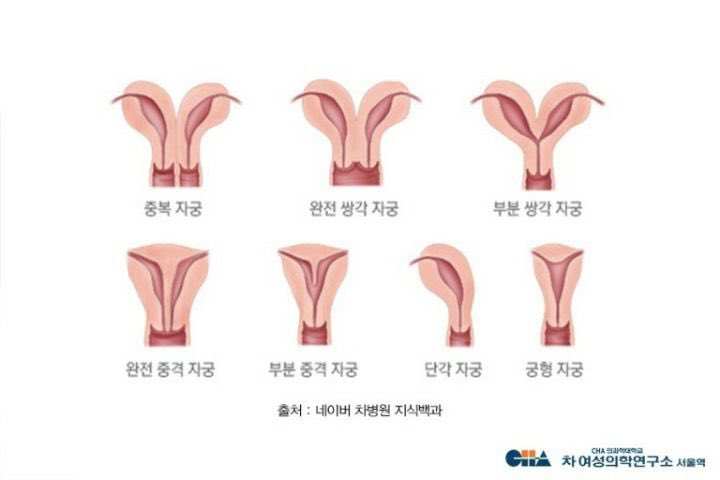 김자라 tweet media