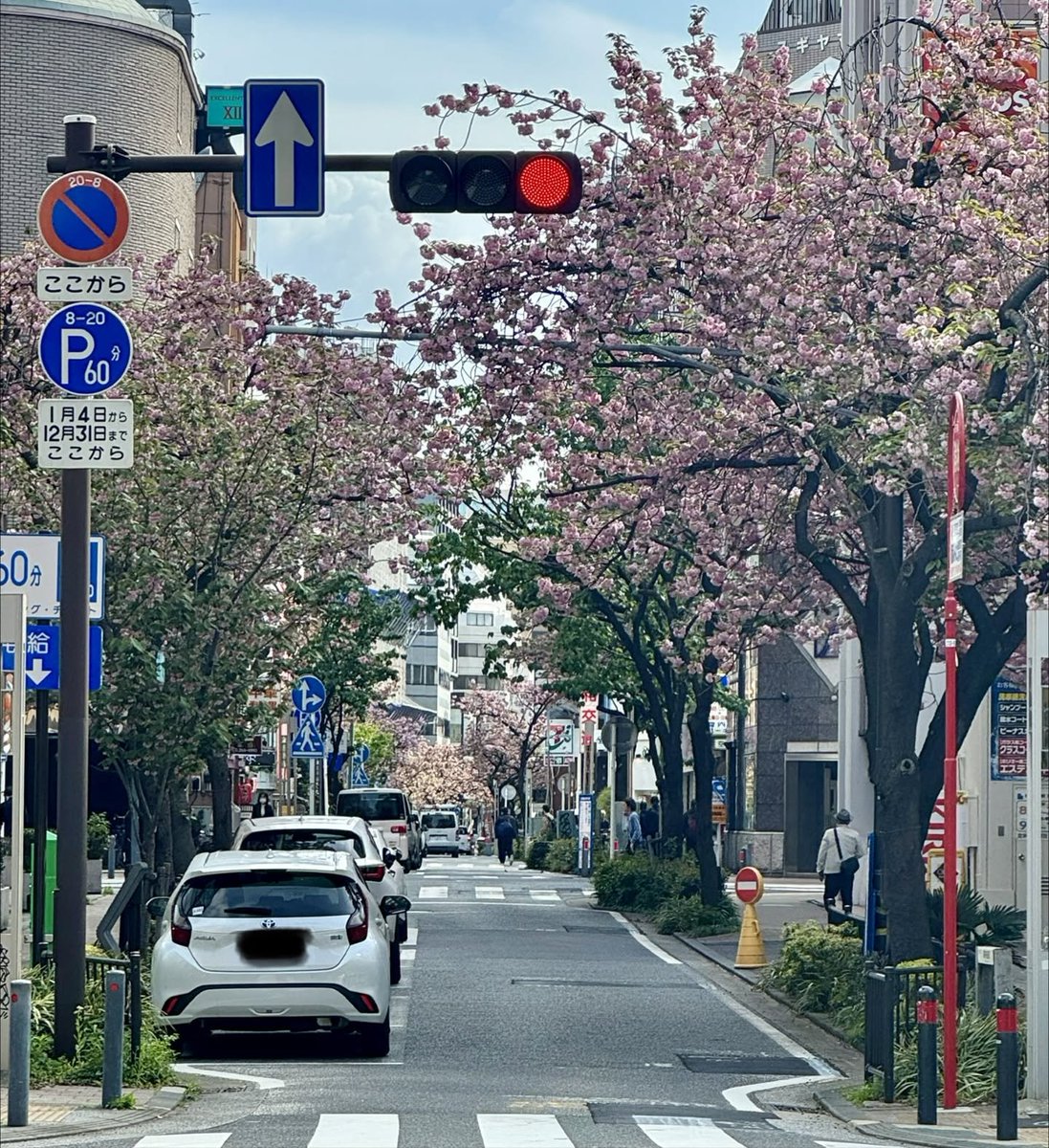 鉄腕バッシー tweet media