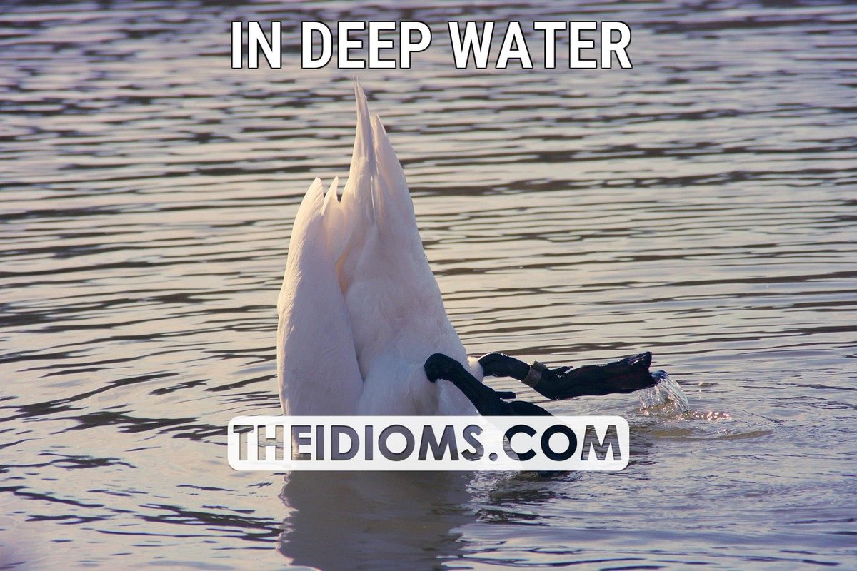 The Idioms tweet media