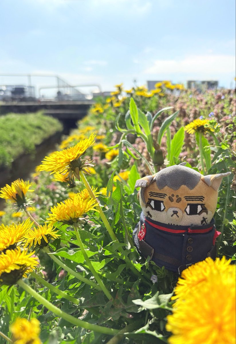 士口 三(しくち さん) tweet media