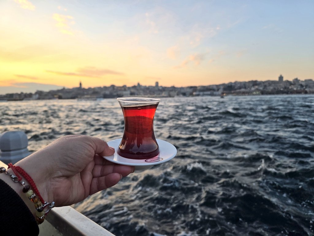 turkishteacher🇹🇷🇵🇱🇵🇸 tweet media