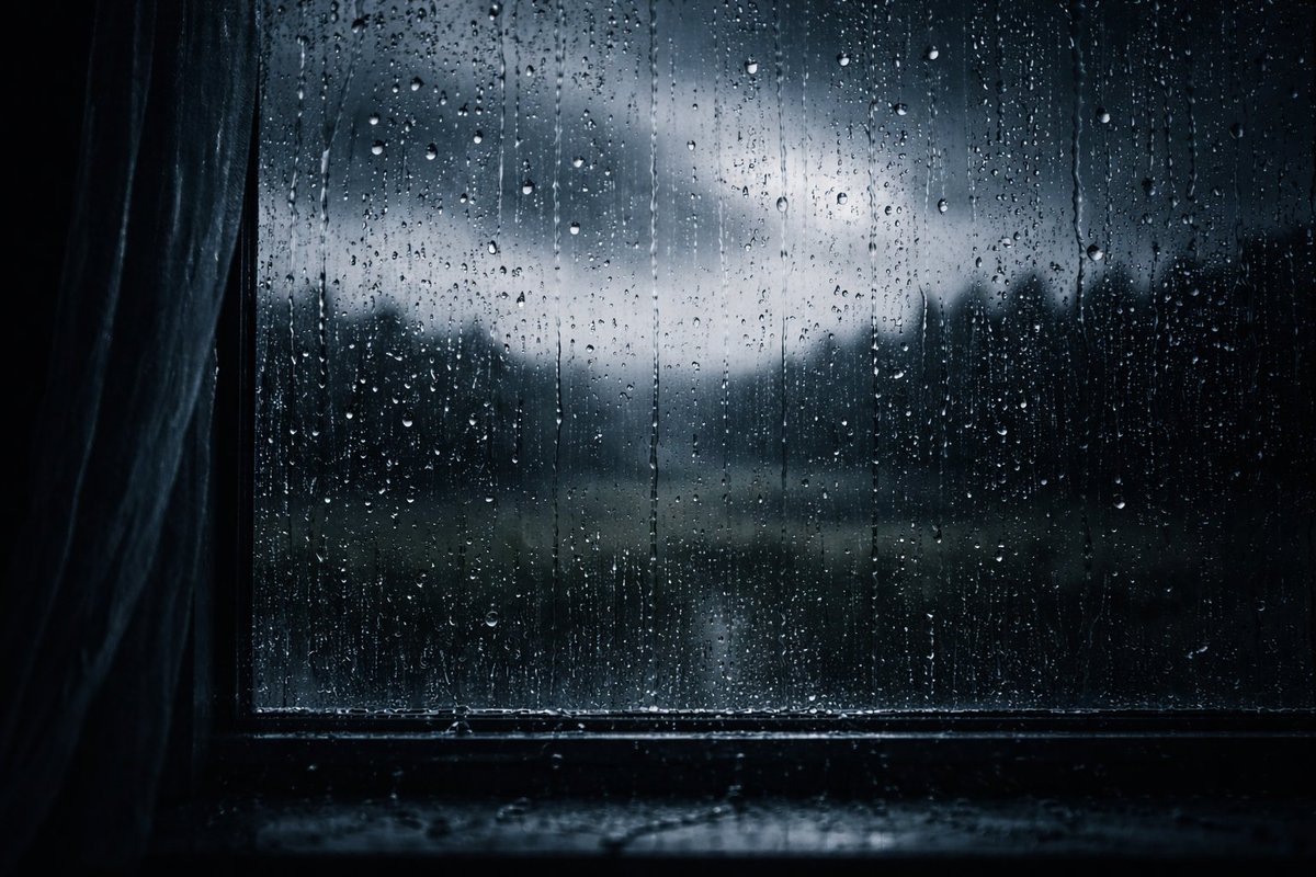 Andrée Sufi Flitzebogen tweet media