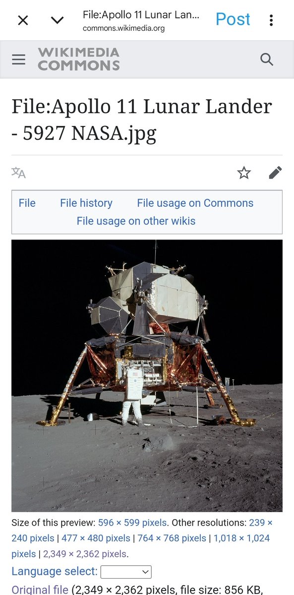 Neiled It tweet media