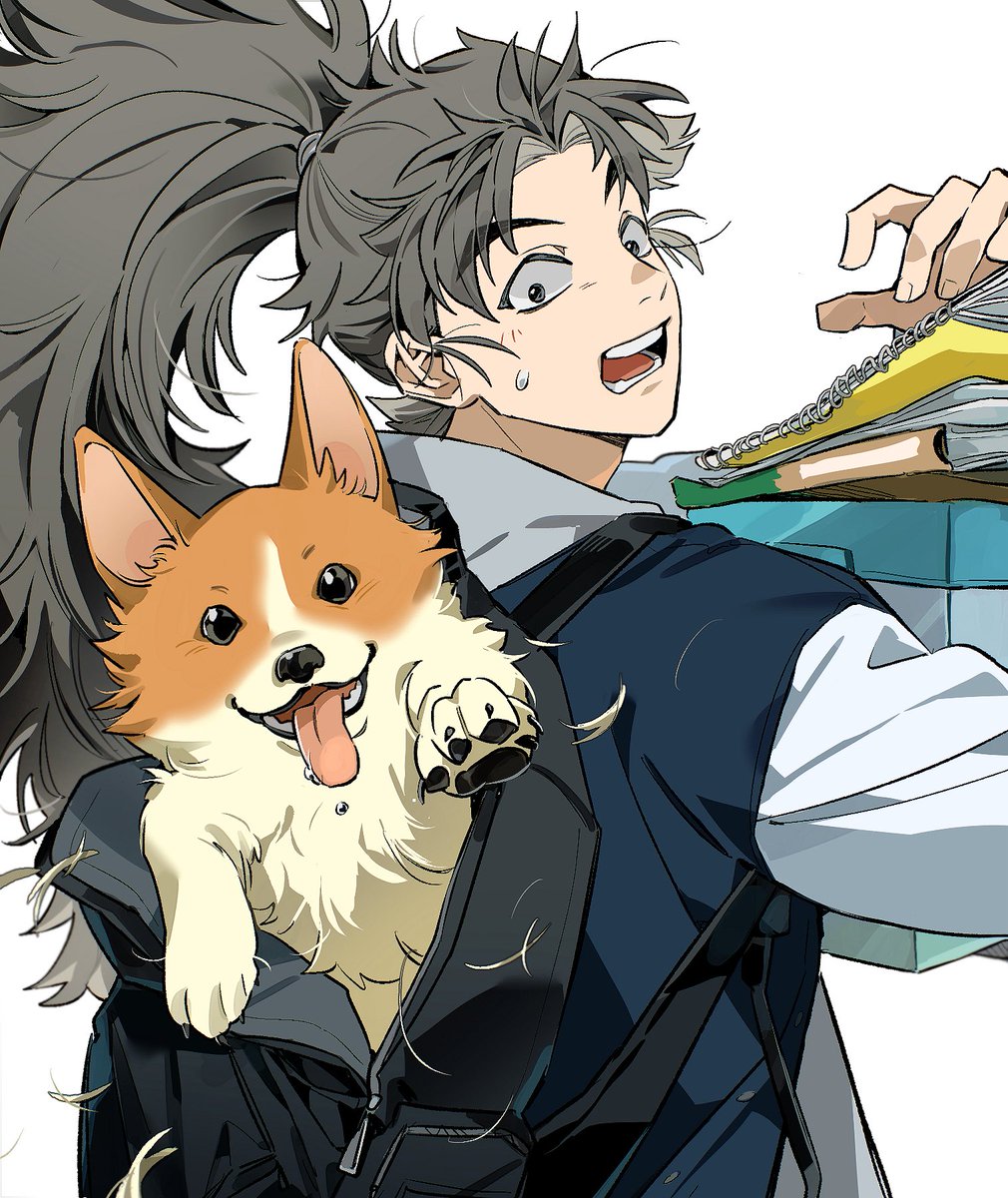 푸랭💙 tweet media