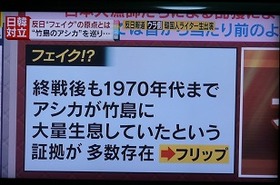 さくらにゃん(テレビにだまされないぞぉ) tweet media